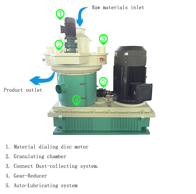 1000kg/H Complete Biomass Pellet Machine Wood Pellet Manufacturing Line